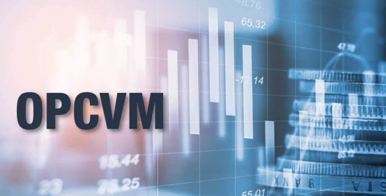 OPCVM : L'actif net sous gestion en baisse de 8,89% à fin novembre (ASFIM)